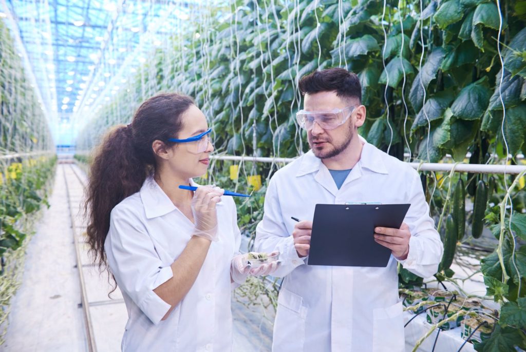 pos-sistema-de-producao-agricola-sustentavel/>