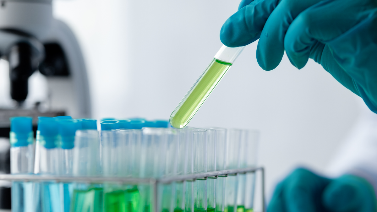 lab-assistant-a-medical-scientist-2023-11-27-05-33-51-utc